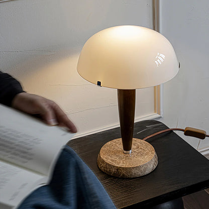 HERMAN MODERNE TAFLLAMP MET HOUTEN DETAILS